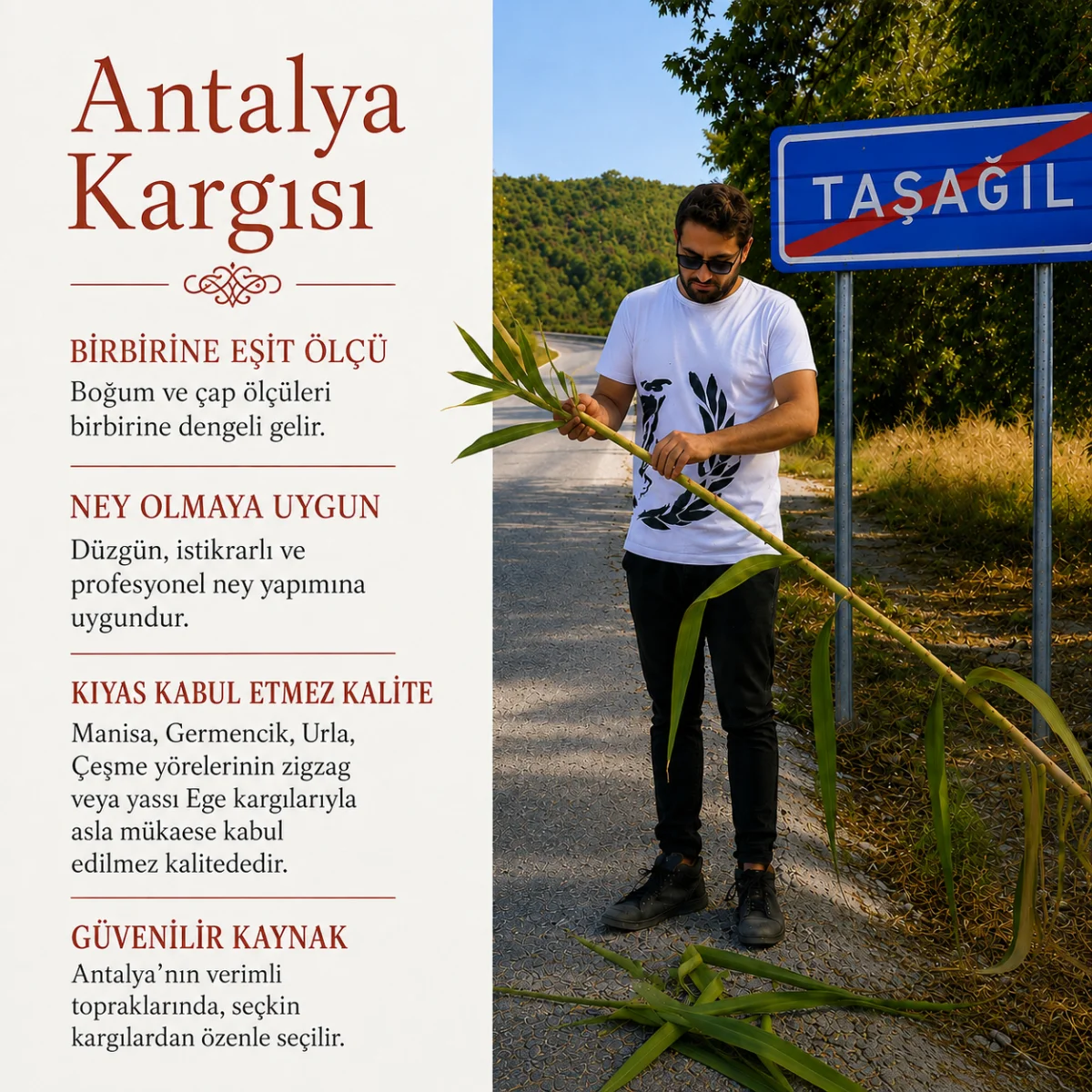 Mansur Ney - Antalya - Görsel 12